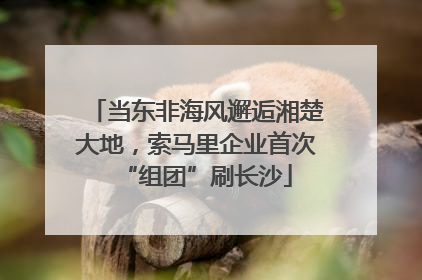 当东非海风邂逅湘楚大地，索马里企业首次“组团”刷长沙