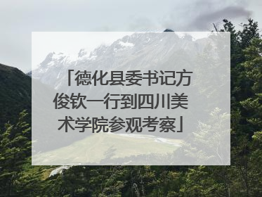 德化县委书记方俊钦一行到四川美术学院参观考察