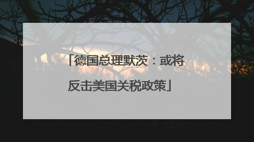 德国总理默茨：或将反击美国关税政策