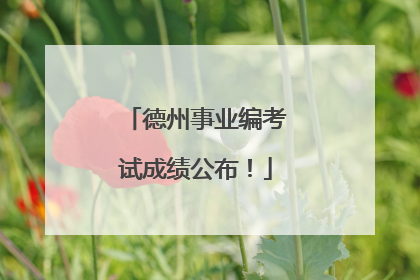 德州事业编考试成绩公布！