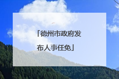 德州市政府发布人事任免