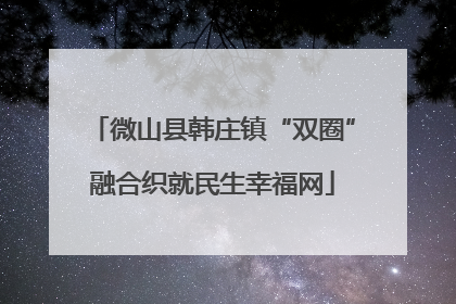 微山县韩庄镇“双圈”融合织就民生幸福网