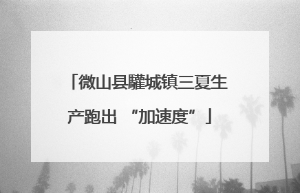 微山县驩城镇三夏生产跑出 “加速度”