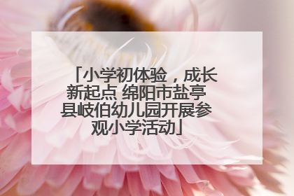 小学初体验，成长新起点 绵阳市盐亭县岐伯幼儿园开展参观小学活动