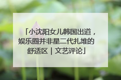 小沈阳女儿韩国出道，娱乐圈并非星二代扎堆的舒适区｜文艺评论
