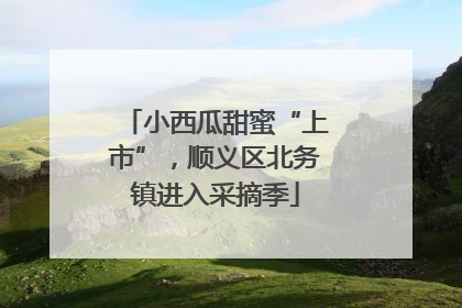 小西瓜甜蜜“上市”，顺义区北务镇进入采摘季