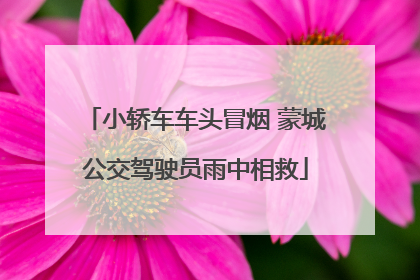 小轿车车头冒烟 蒙城公交驾驶员雨中相救