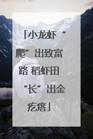 小龙虾“爬”出致富路 稻虾田“长”出金疙瘩