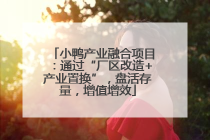 小鸭产业融合项目：通过“厂区改造+产业置换”，盘活存量，增值增效