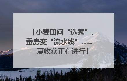 小麦田间“选秀”、蚕房变“流水线”……三夏收获正在进行
