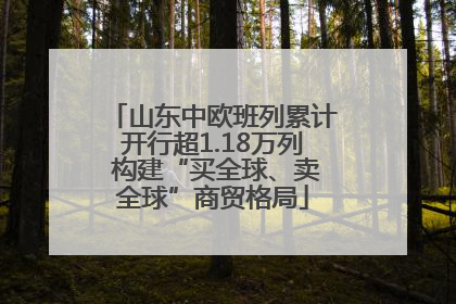 山东中欧班列累计开行超1.18万列 构建“买全球、卖全球”商贸格局