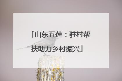 山东五莲：驻村帮扶助力乡村振兴