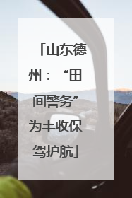 山东德州：“田间警务”为丰收保驾护航