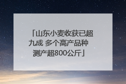 山东小麦收获已超九成 多个高产品种测产超800公斤