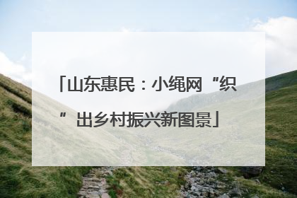 山东惠民：小绳网“织”出乡村振兴新图景