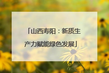 山西寿阳：新质生产力赋能绿色发展