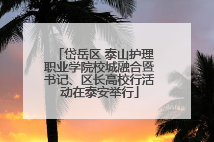 岱岳区 泰山护理职业学院校城融合暨书记、区长高校行活动在泰安举行