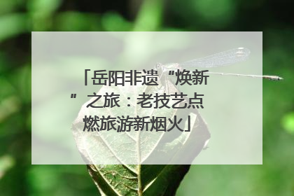 岳阳非遗“焕新”之旅：老技艺点燃旅游新烟火
