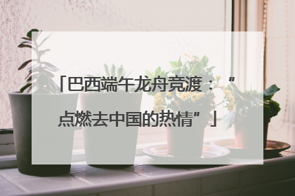 巴西端午龙舟竞渡：“点燃去中国的热情”