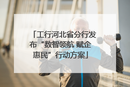 工行河北省分行发布“数智领航 赋企惠民”行动方案