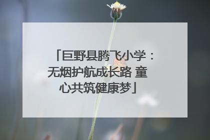 巨野县腾飞小学：无烟护航成长路 童心共筑健康梦