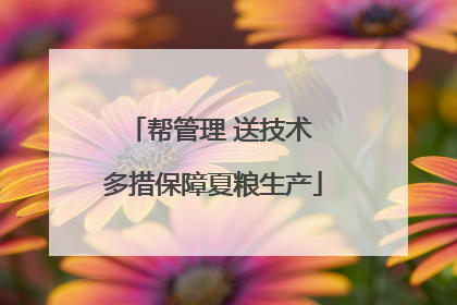 帮管理 送技术 多措保障夏粮生产
