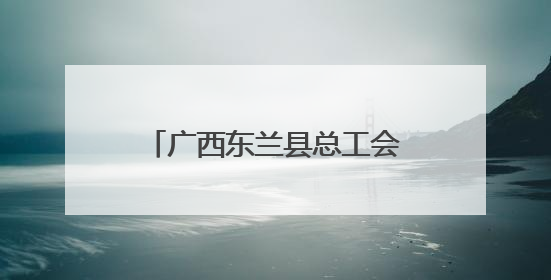 广西东兰县总工会情暖童心呵护成长