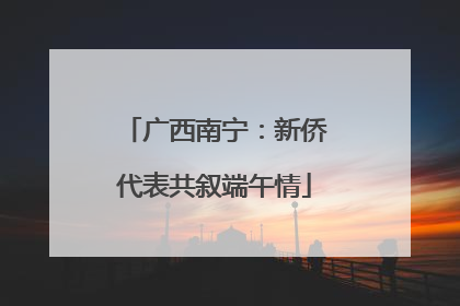 广西南宁：新侨代表共叙端午情