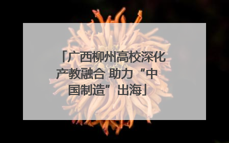 广西柳州高校深化产教融合 助力“中国制造”出海