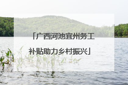 广西河池宜州务工补贴助力乡村振兴
