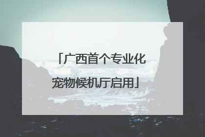广西首个专业化宠物候机厅启用