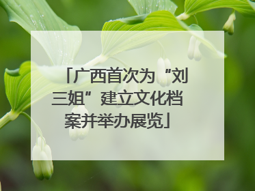 广西首次为“刘三姐”建立文化档案并举办展览