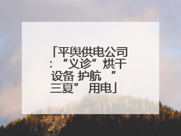 平舆供电公司：“义诊”烘干设备 护航 “三夏” 用电