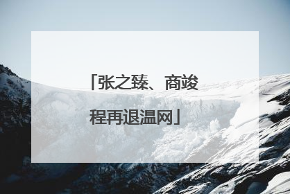 张之臻、商竣程再退温网