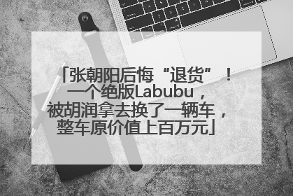张朝阳后悔“退货”！一个绝版Labubu，被胡润拿去换了一辆车，整车原价值上百万元
