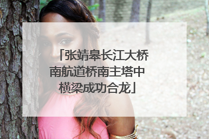 张靖皋长江大桥南航道桥南主塔中横梁成功合龙