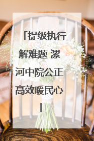提级执行解难题 漯河中院公正高效暖民心