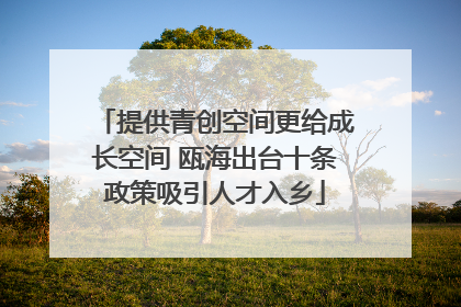 提供青创空间更给成长空间 瓯海出台十条政策吸引人才入乡