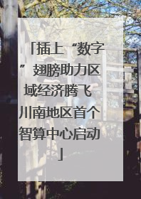 插上“数字”翅膀助力区域经济腾飞 川南地区首个智算中心启动