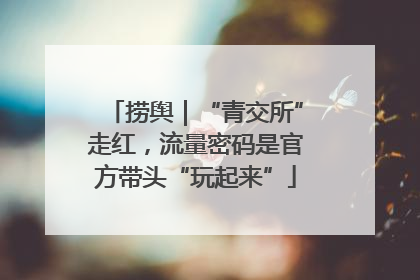 捞舆｜“青交所”走红，流量密码是官方带头“玩起来”