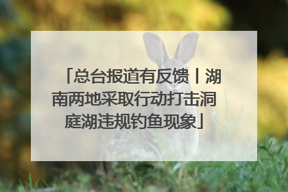 总台报道有反馈丨湖南两地采取行动打击洞庭湖违规钓鱼现象