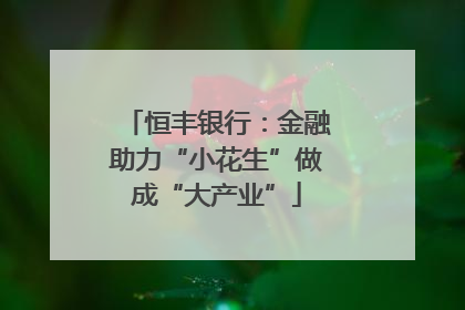 恒丰银行：金融助力“小花生”做成“大产业”