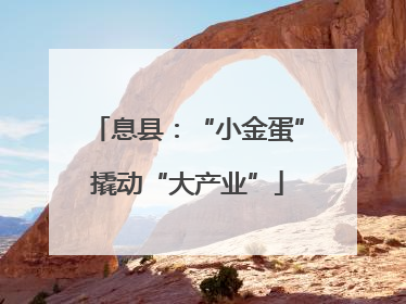 息县：“小金蛋”撬动“大产业”
