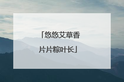 悠悠艾草香 片片粽叶长