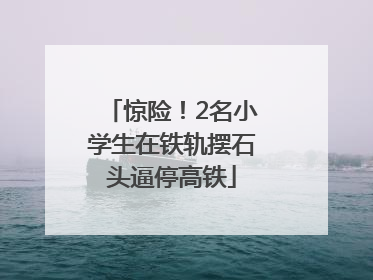 惊险！2名小学生在铁轨摆石头逼停高铁