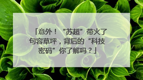 意外！“苏超”带火了句容草坪，背后的“科技密码”你了解吗？