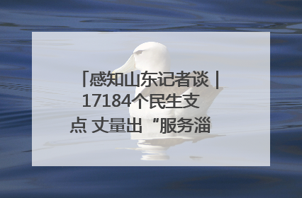 感知山东记者谈｜17184个民生支点 丈量出“服务淄博”的文明温度