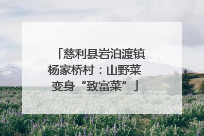 慈利县岩泊渡镇杨家桥村：山野菜变身“致富菜”