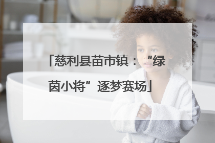 慈利县苗市镇：“绿茵小将”逐梦赛场