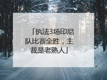 执法3场印尼队比赛全胜，主裁是老熟人